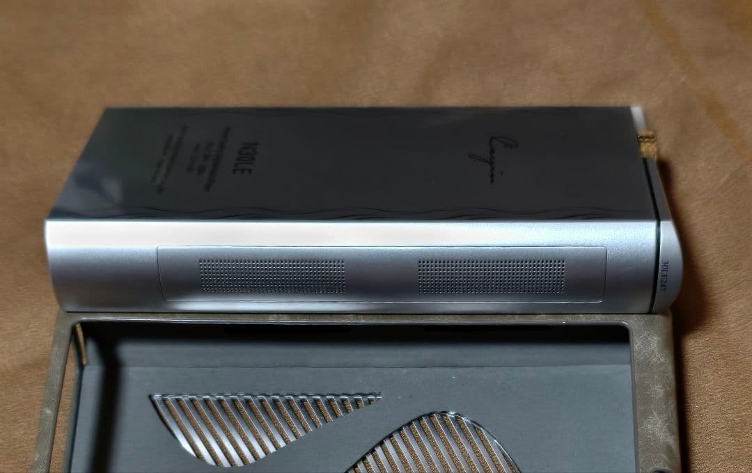 【美品】 Cayin N30LE カスタムメイドケース等3個オマケ付き 【レア】