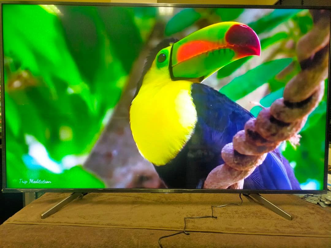 テレビ SONY BRAVIA KJ-65X8000G