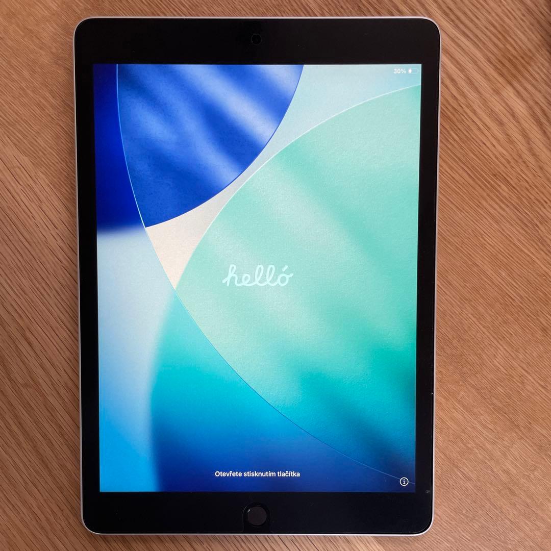 美*雪様 【ジャンク】第9世代　無印　iPad(Wi-Fiモデル)