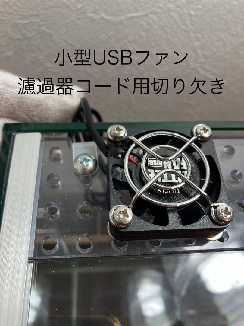 アクアサイダーの40cm水槽 イモリウム、パルダリウム、アクアテラリウム用