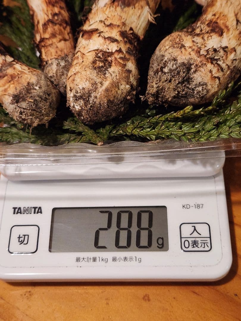 北海道産松茸　288g
