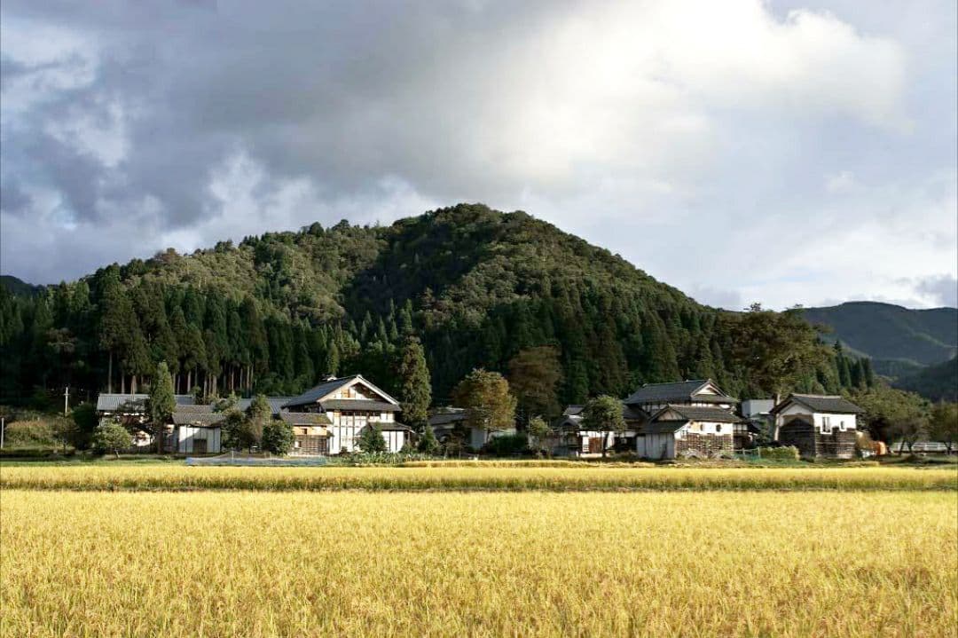 幻の希少米　魚沼産超え❤️山間地の特栽米 ７年コシヒカリ　玄米10キロ精米9kg