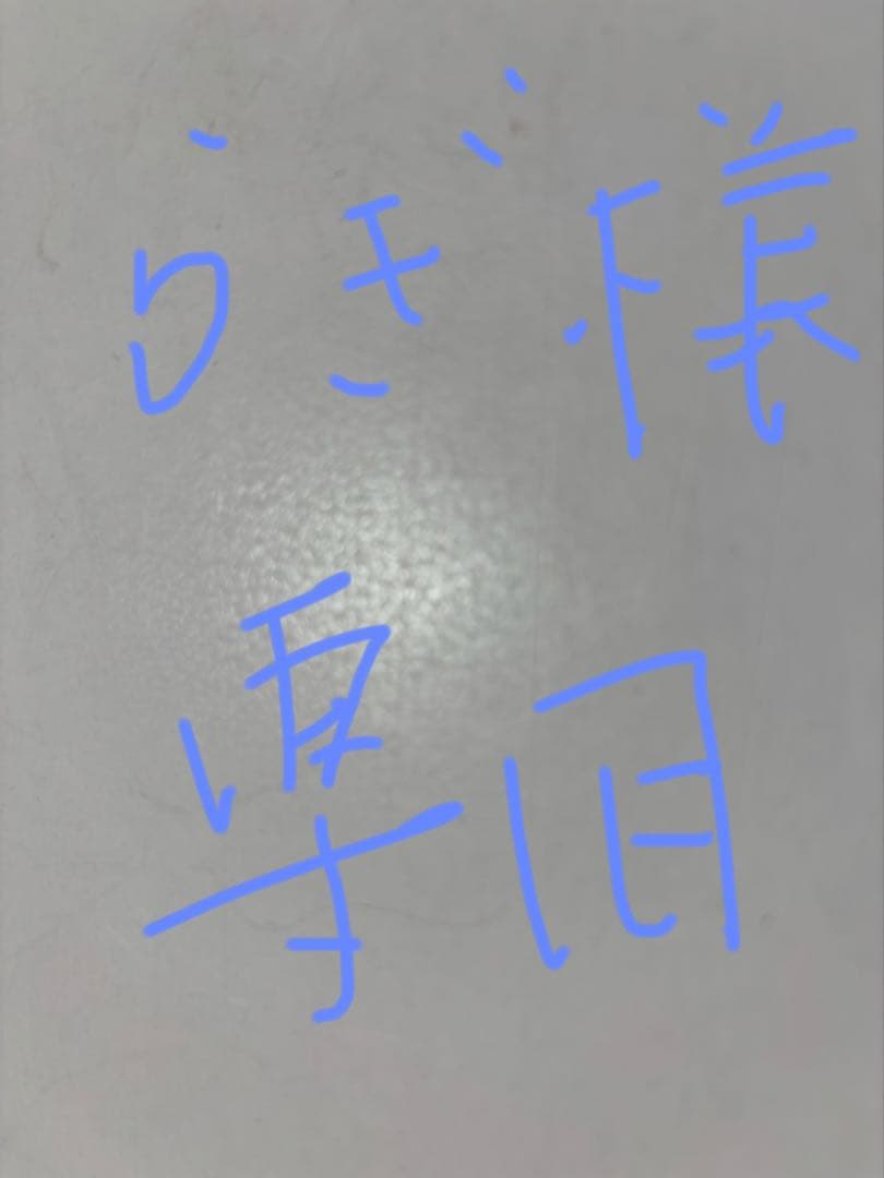 【らぎ様】専用