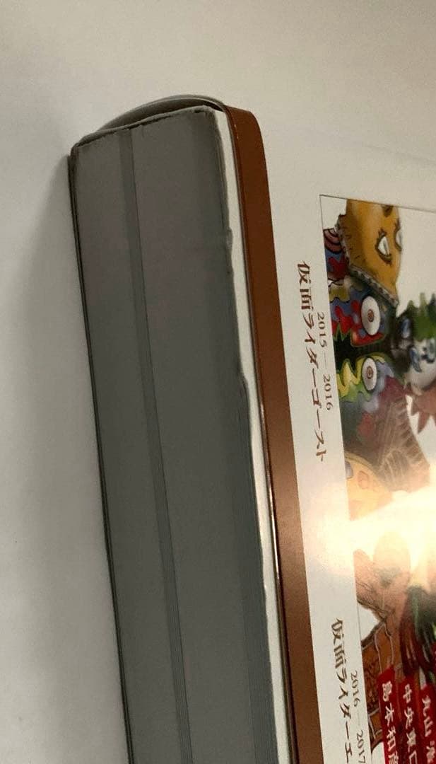 完全超悪 平成仮面ライダー怪人デザイン大鑑