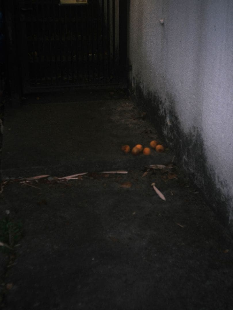 Chiyoko rokkor 3.5cm3.5 希少 前期モデル