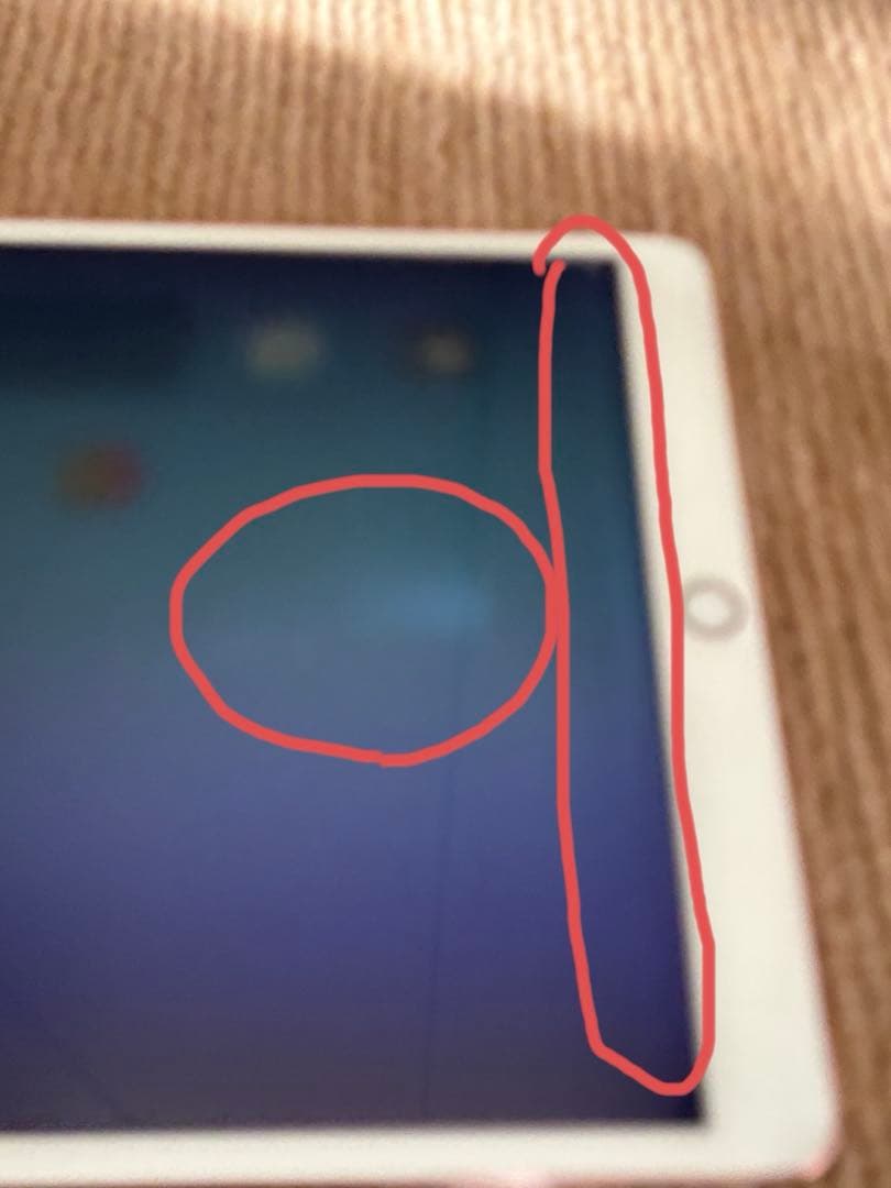 【美品】Apple iPad Pro 10.5インチ ローズゴールド