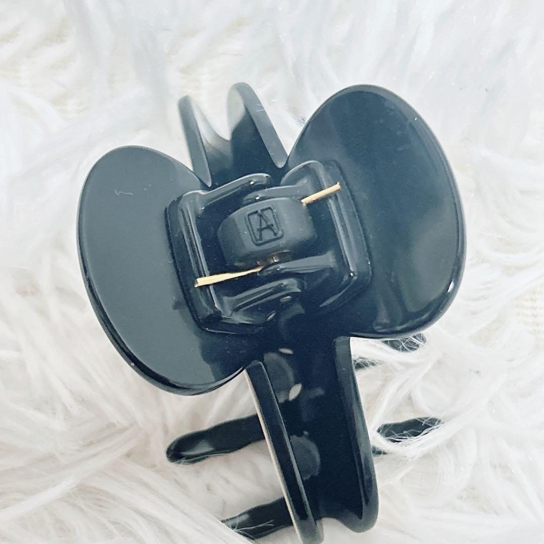 ALEXANDRE DE PARIS ヘアクリップ LISERAI 完売　S