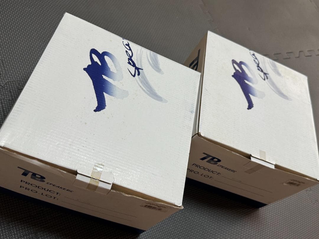 未使用 Tang Band W8-2145 20cmフルレンジユニット 8インチ