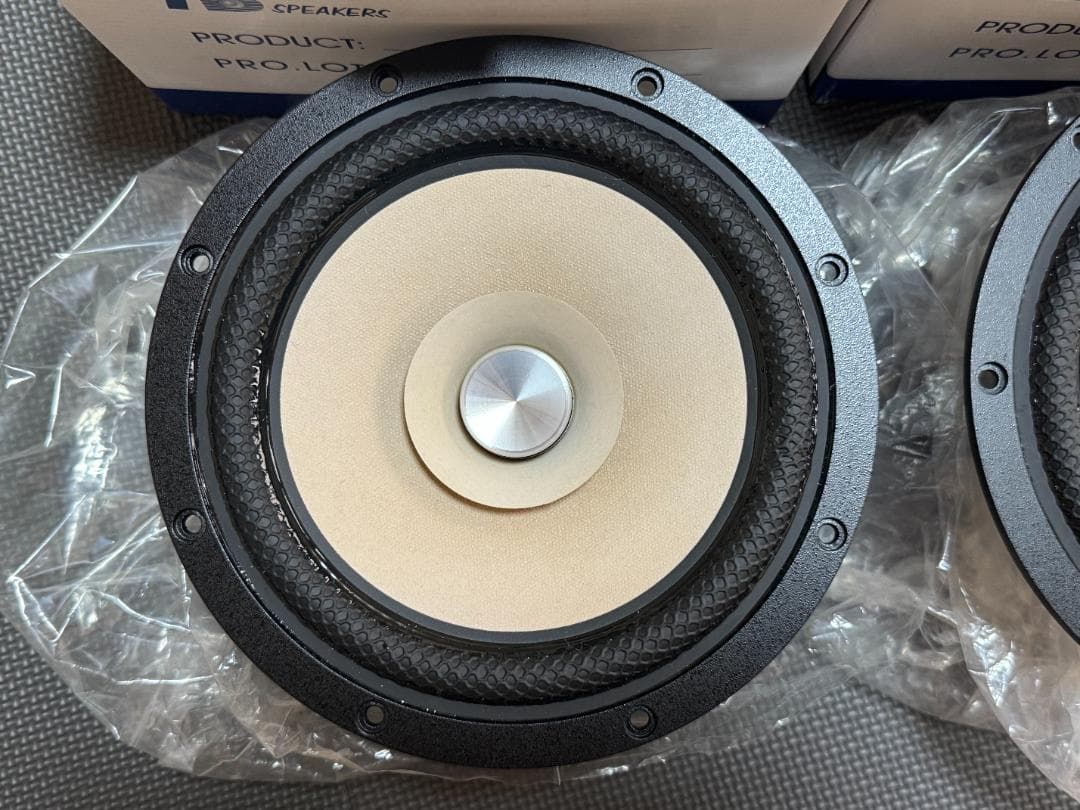 未使用 Tang Band W8-2145 20cmフルレンジユニット 8インチ