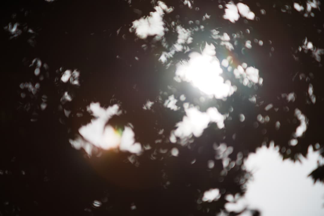 【希少】ミノルタ AUTO TELE ROKKOR-PF 100mm F2 80