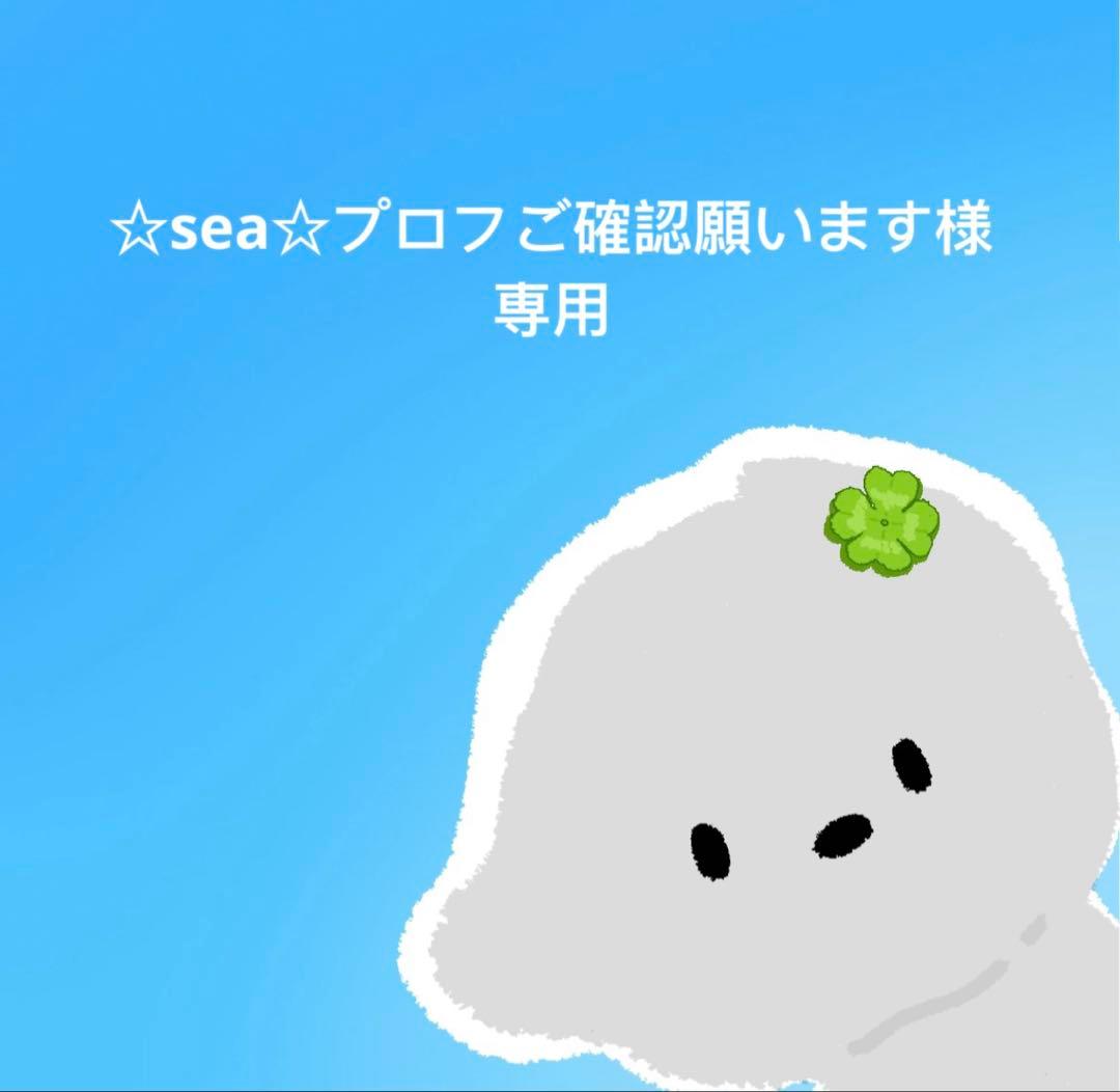 ☆sea☆プロフご確認願います