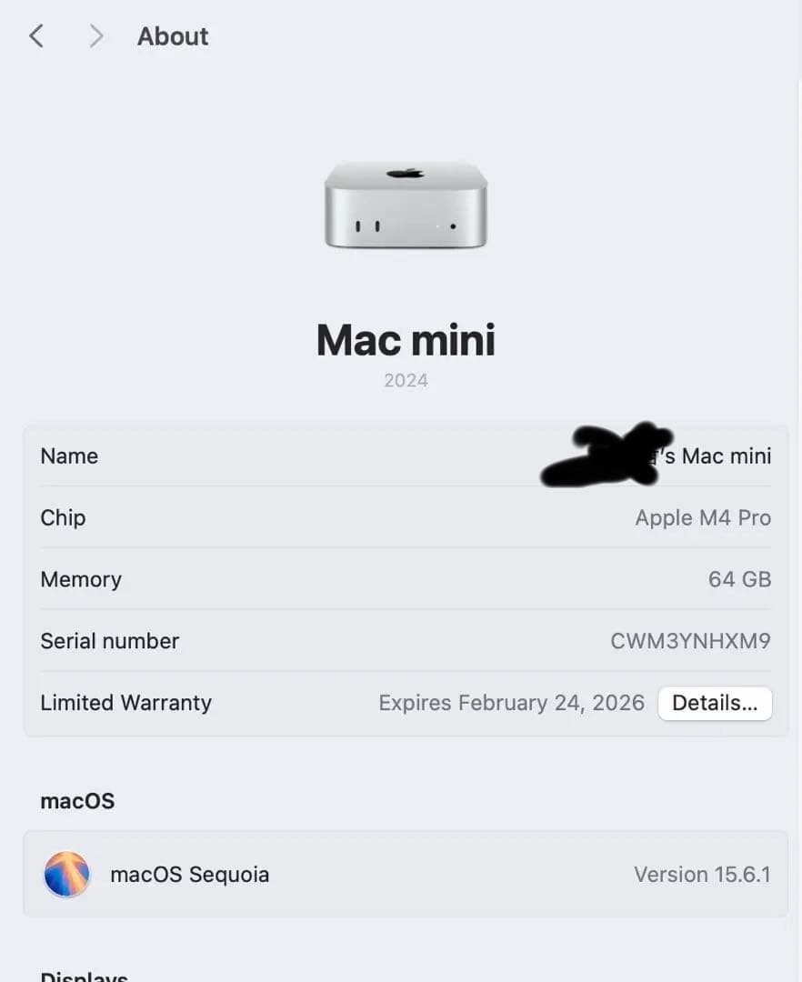 Apple Mac mini m4Pro 64gbメモリ