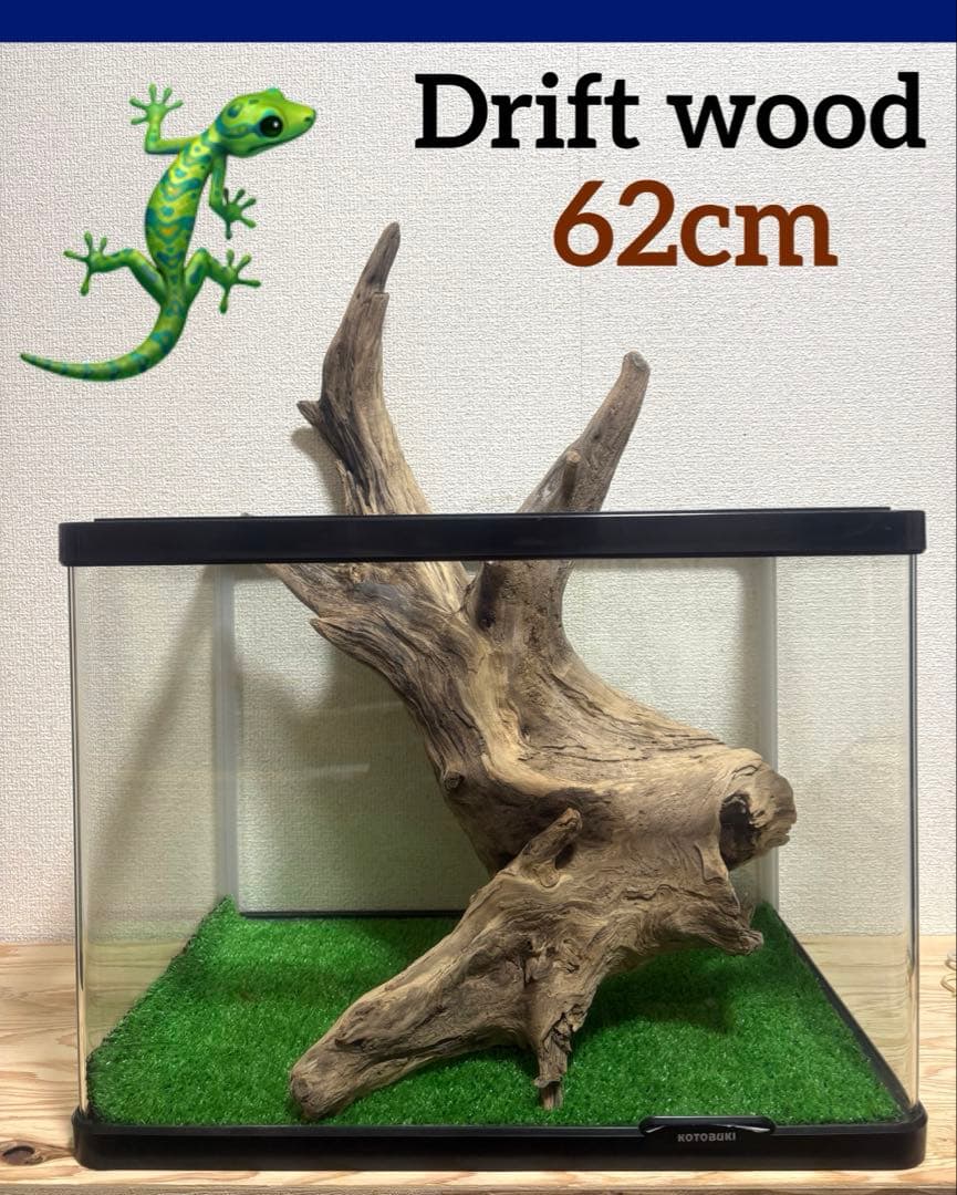 Ｇ87 流木　爬虫類　両生類　シェルター　観葉植物　インテリア　DIY