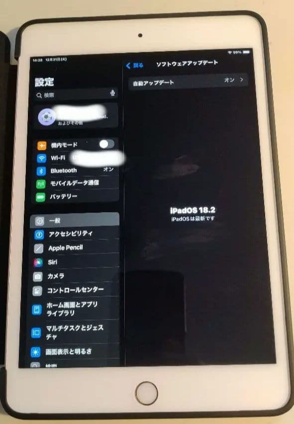 【美品】256GB ipadmini 第5世代 WiFi+cellular