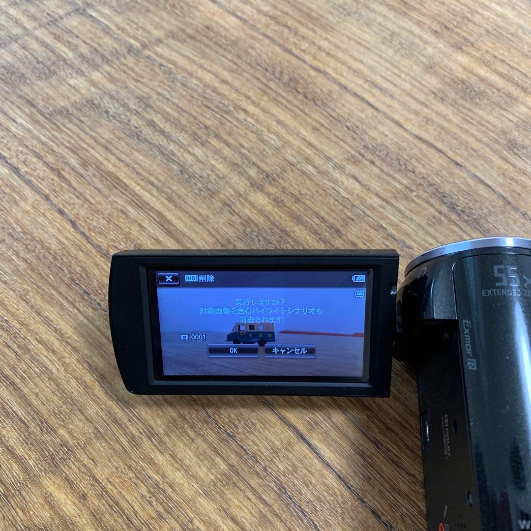 SONY ソニー　ビデオカメラ　HDR-CX390