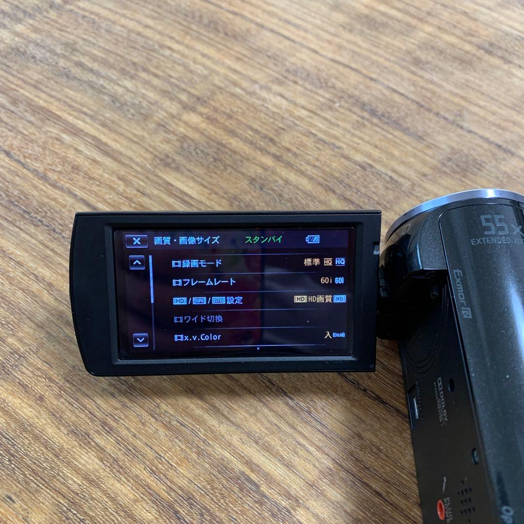 SONY ソニー　ビデオカメラ　HDR-CX390