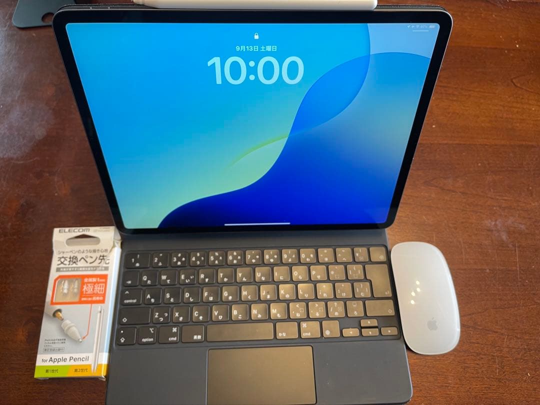 【7点セット】iPad Pro 12.9インチ 第4世代 512GB Wi-Fi