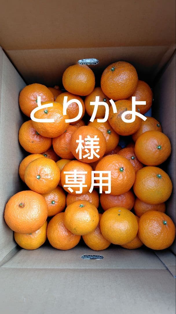 津之輝20㎏(家庭用)とりかよ