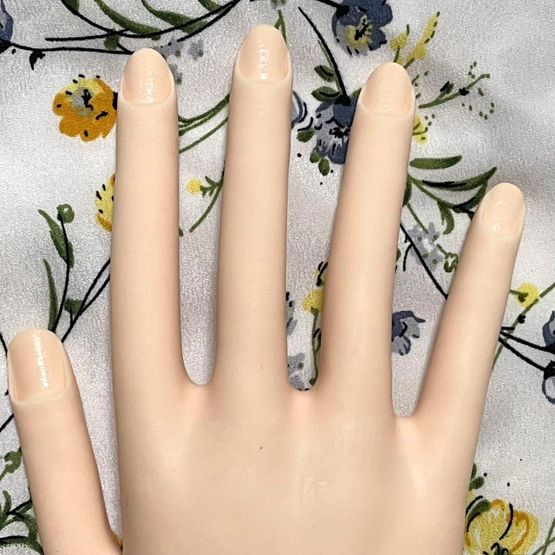 STモデルハンド ネイリスト技能検定試験用 JNEC認定モデルハンド