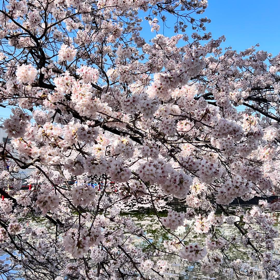 ユウキページ　3袋