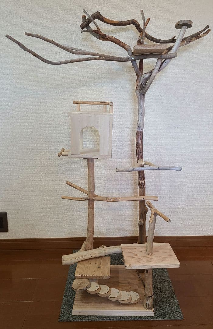 ⑥もちこオーダーページ　バードアスレチック流木　ハンドメイド