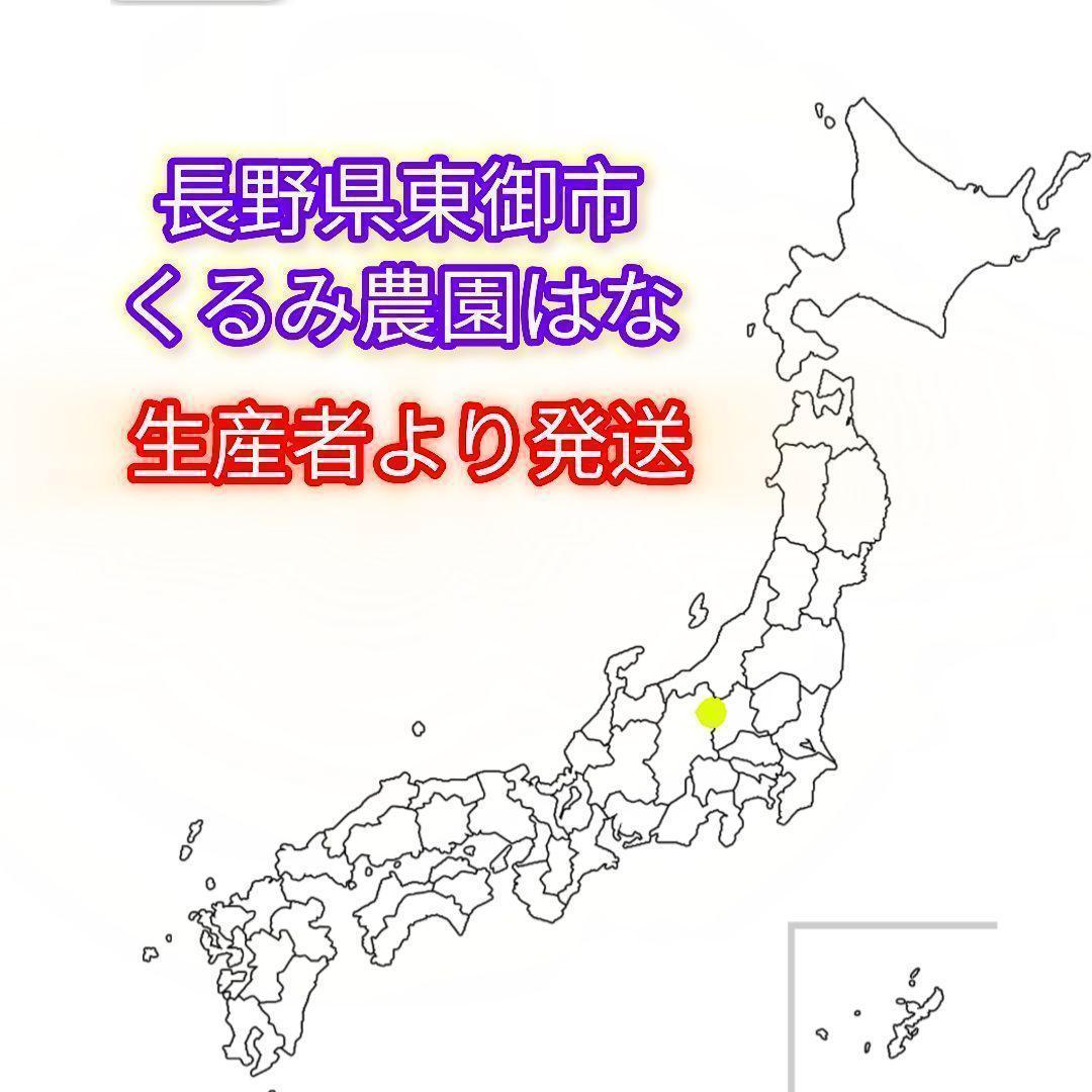 【かおりん商品】25年産 新物 国産 殻付き信濃くるみ 極小〜小 13kg