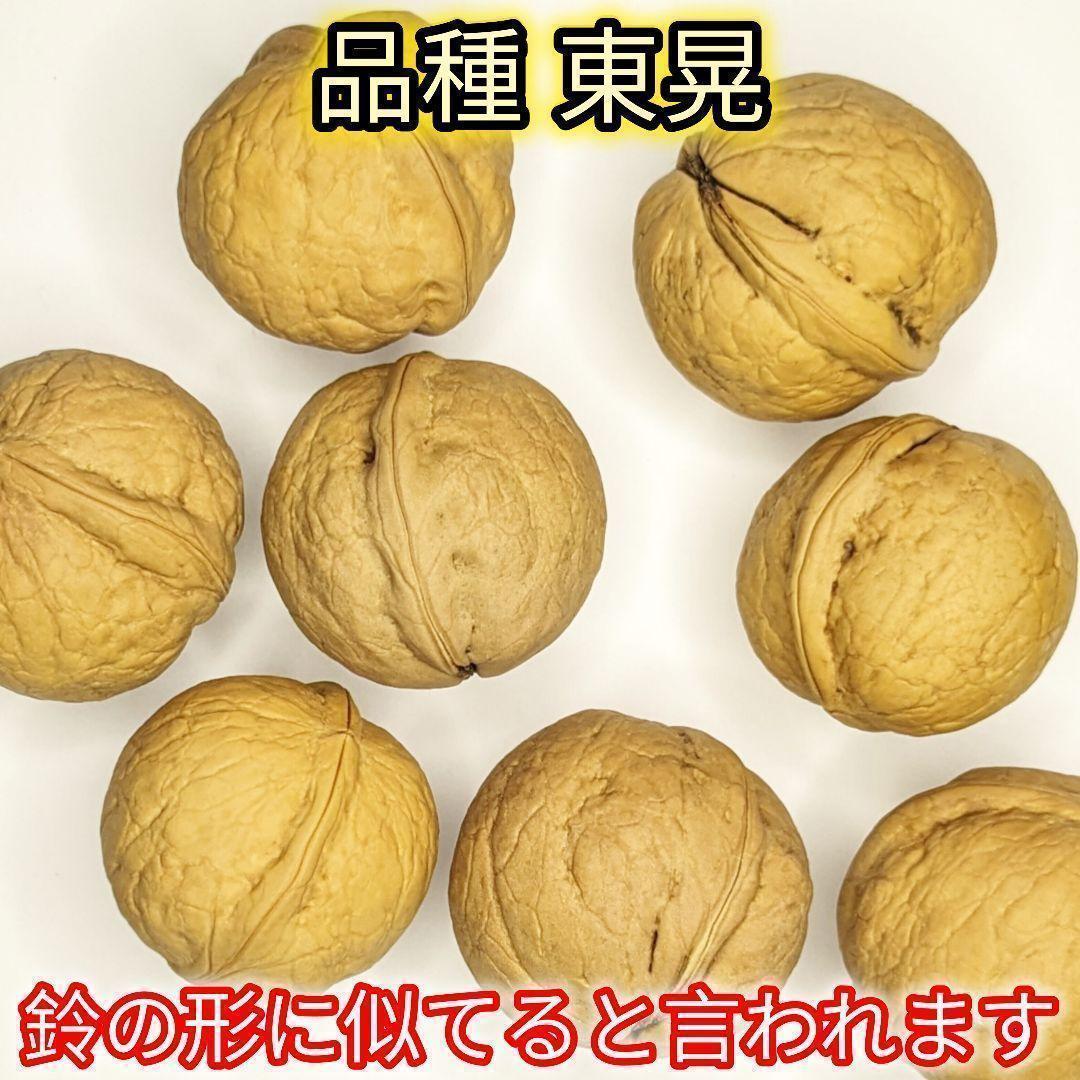 【かおりん商品】25年産 新物 国産 殻付き信濃くるみ 極小〜小 13kg