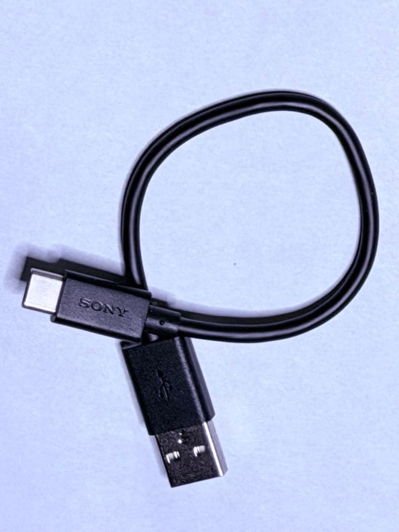 【購入から4ヶ月】 SONY LinkBudsOpen WF-L910 ホワイト