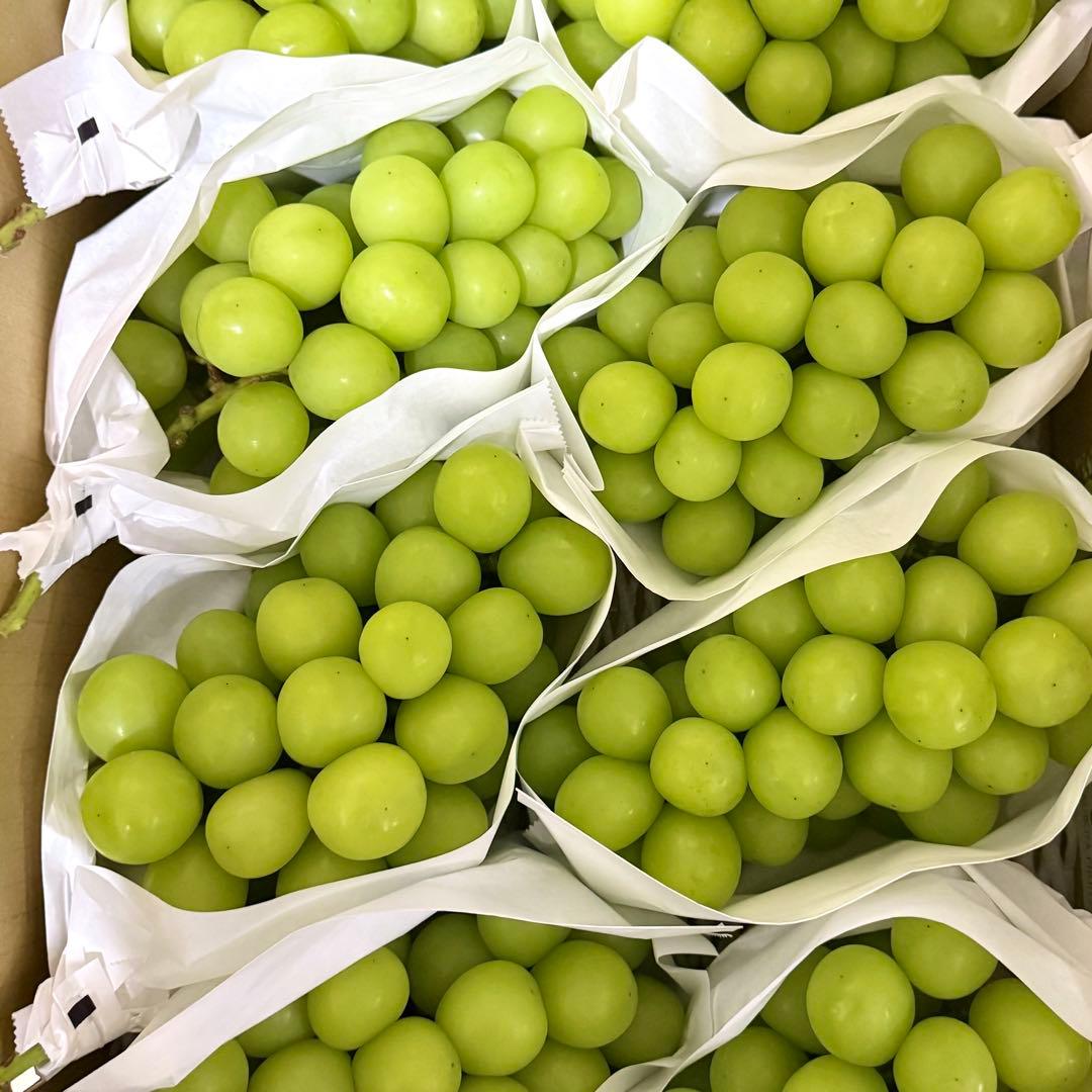 kaedenomo 　今シーズン最終山梨県産シャインマスカット10kg