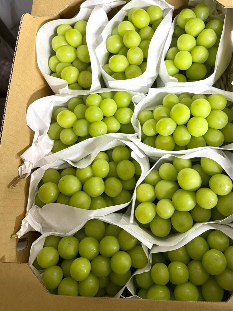 kaedenomo 　今シーズン最終山梨県産シャインマスカット10kg