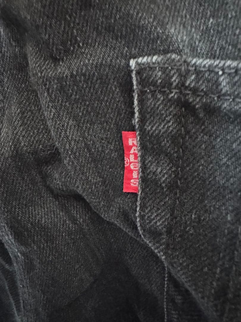 RALEIGH オーバーオール L