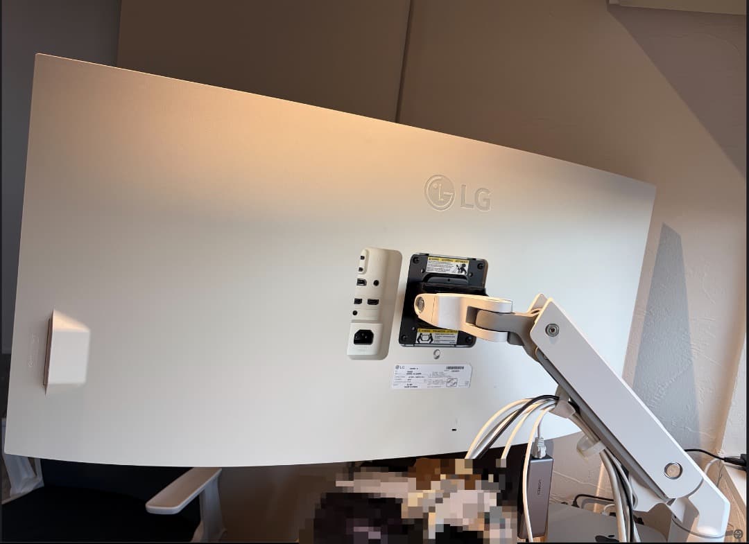 LG モニター ディスプレイ 40WP95C-W 39.7\"/5K2K 曲面型