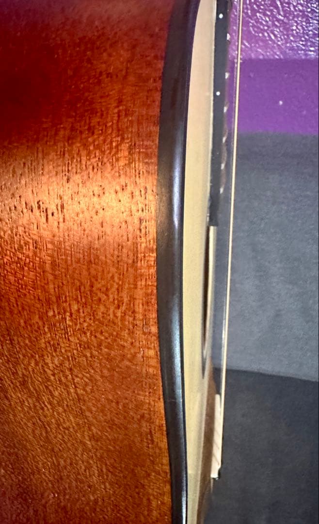 Gopher Wood アコースティックギター