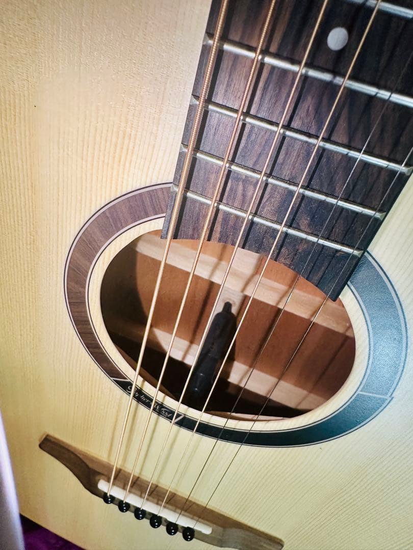 Gopher Wood アコースティックギター
