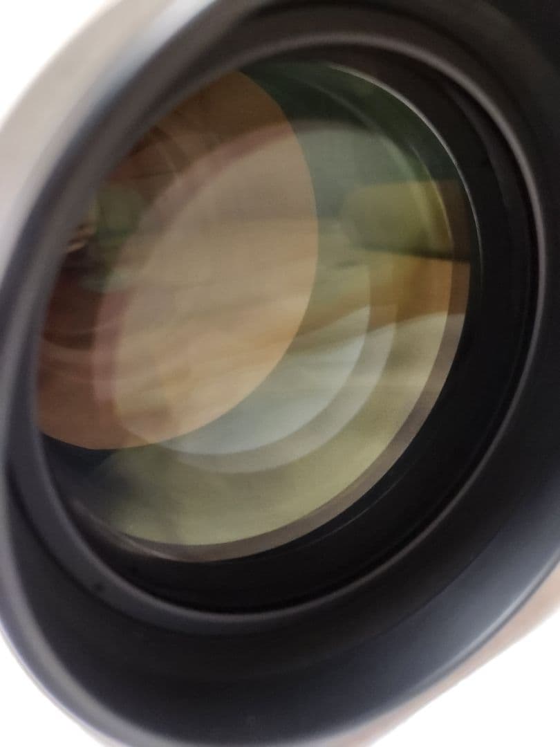 Canon EF 300mm f/2.8L USM 純正エクステンダー1.4XⅡ