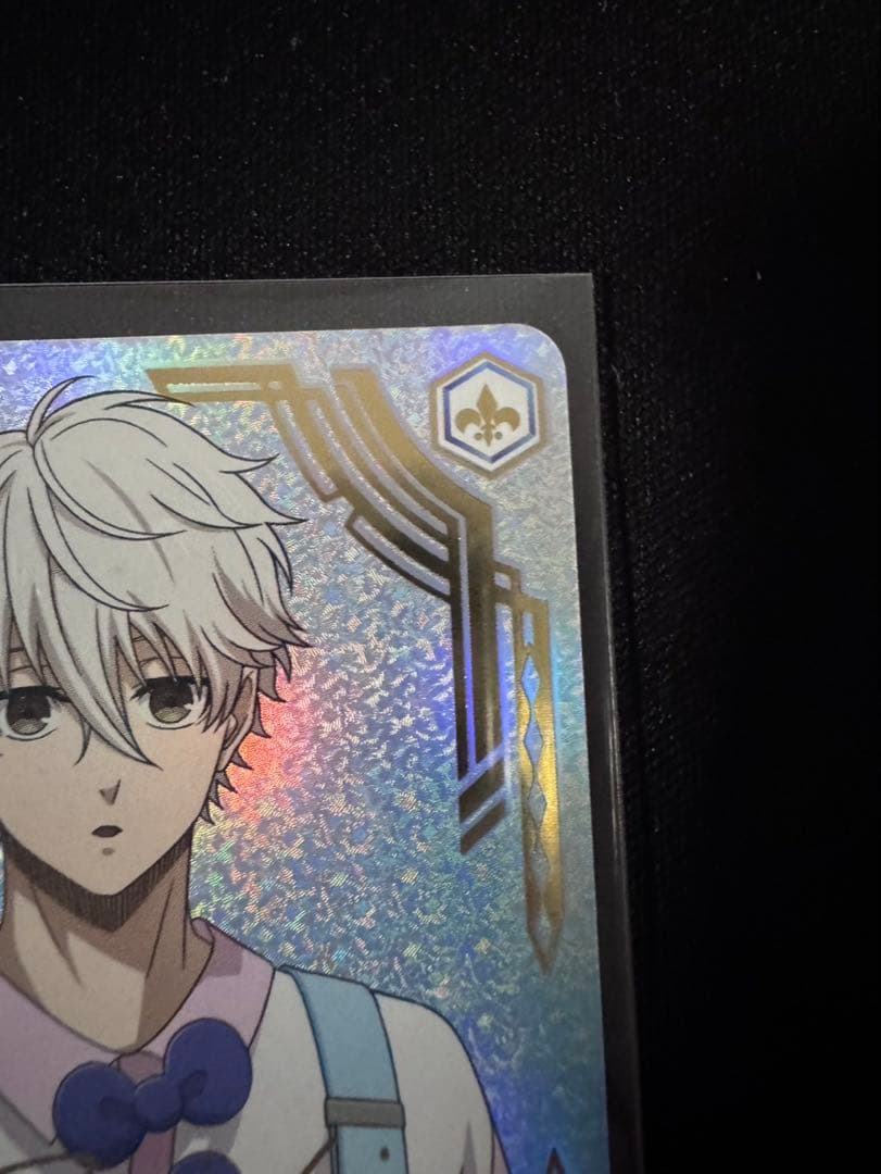 ブルーロック　ブルロ　ヴァイスシュヴァルツブラウ 凪誠士郎　SSP