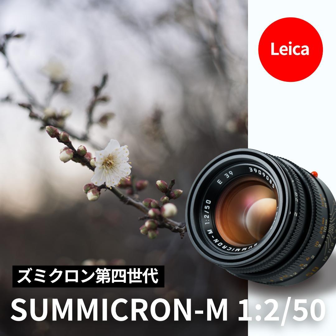 極美品！名玉の現行型！Leica Summicron 50mm F2 4th