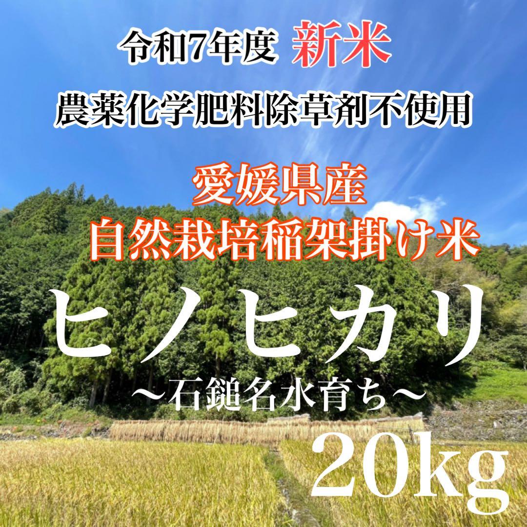 農薬化学肥料除草剤不使用　令和7年度米　愛媛県産ヒノヒカリ稲架掛け米 20kg