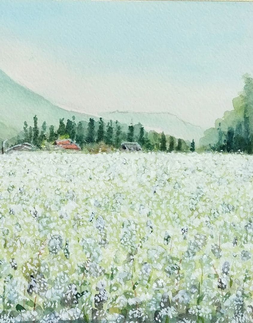 長野県 《 木曽蕎麦畑 》　 　水彩画　風景画　原画 プレゼントあり