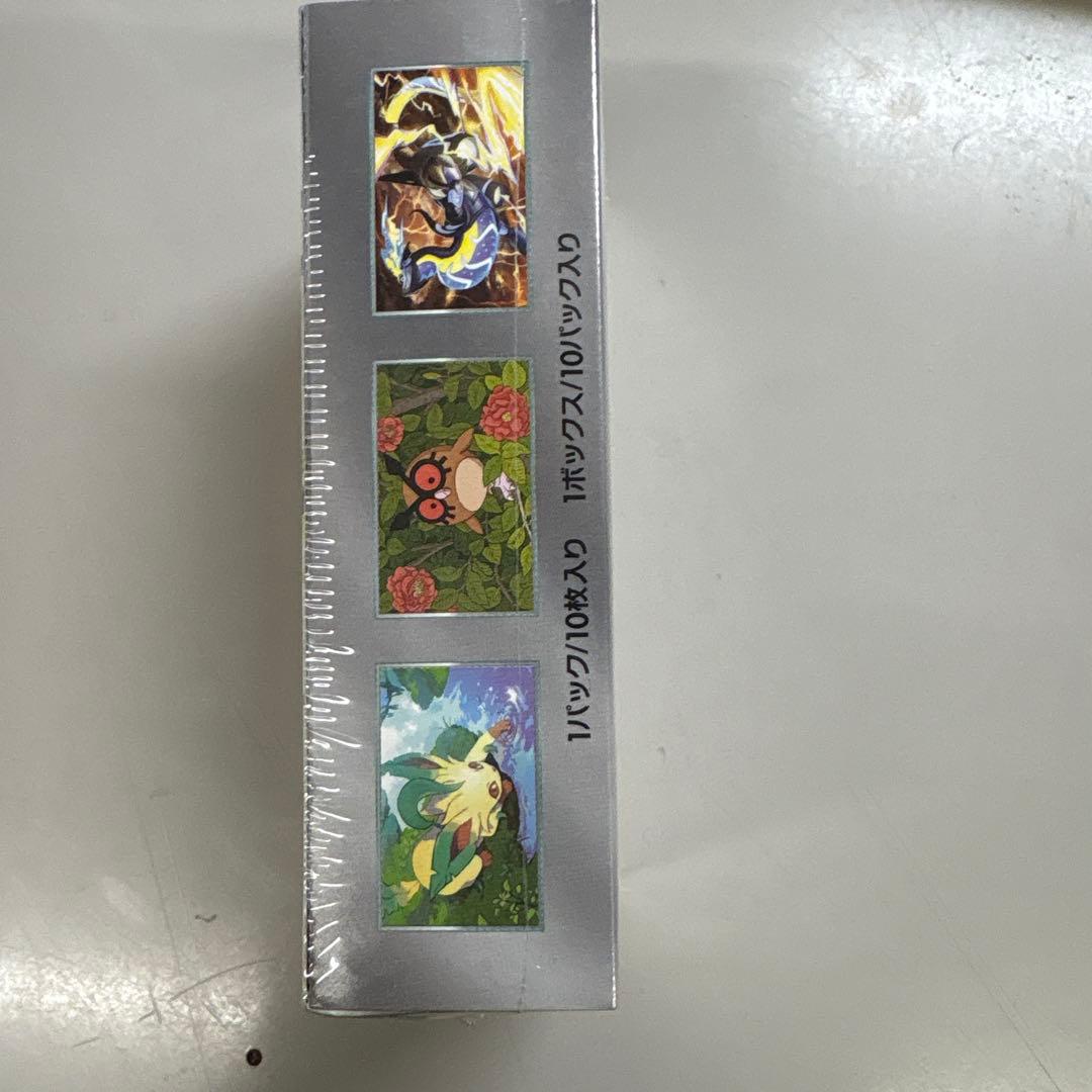 ポケモンカードゲーム テラススリーブEX 10パック入り