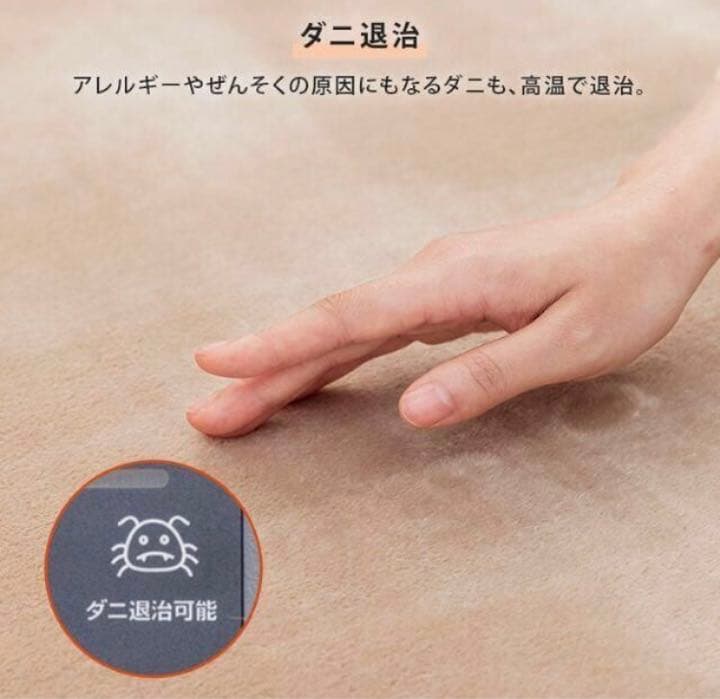 新品★TEKNOS ラグ付き 2畳用電気カーペット