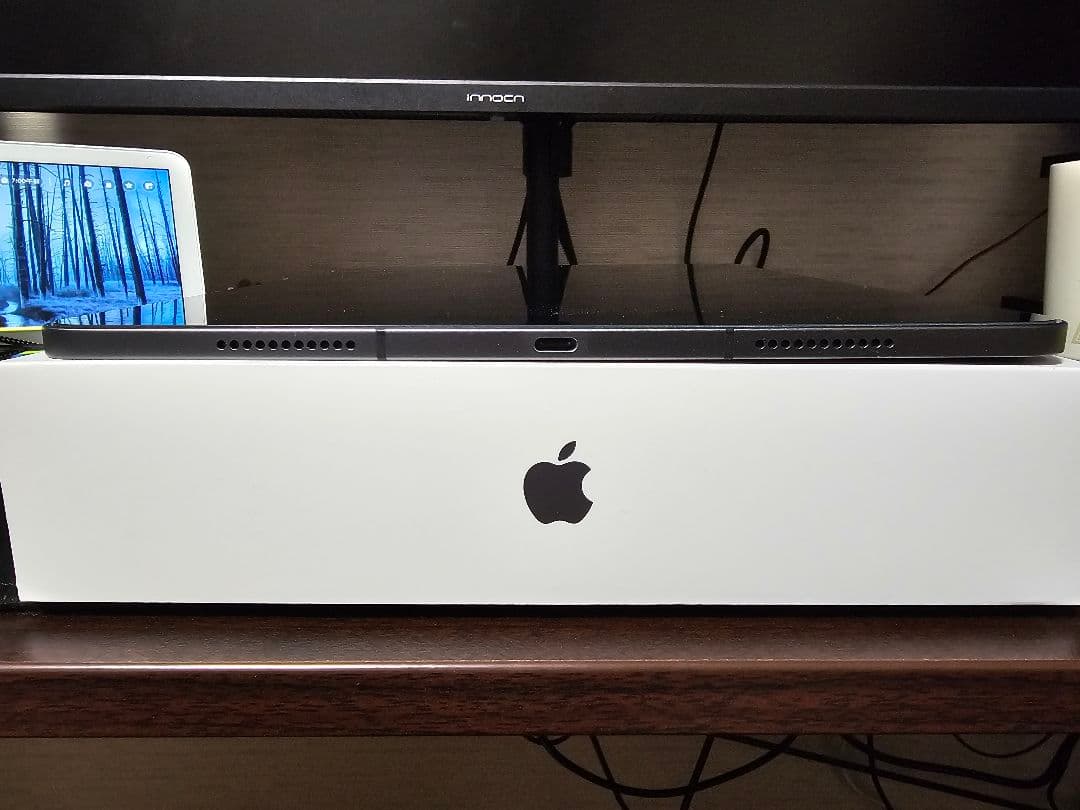 Apple iPad Pro 12.9 第5世代 512GB Cellular