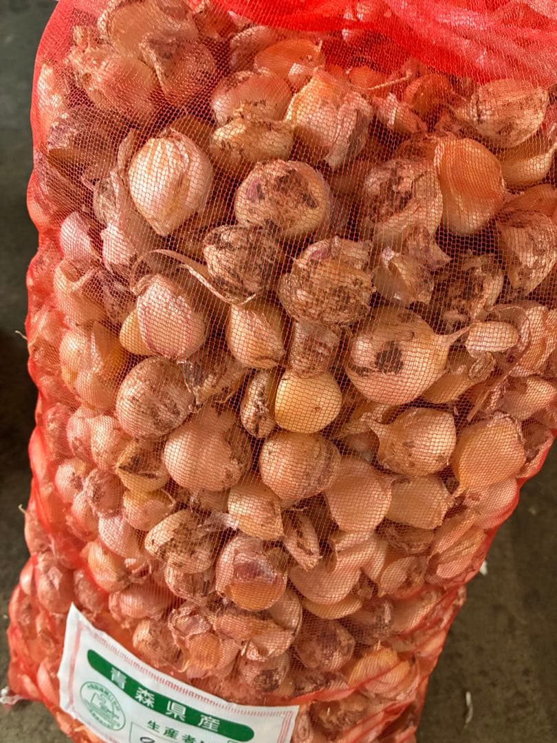 新物　青森県バラにんにく10Kg M 加工おすすめ