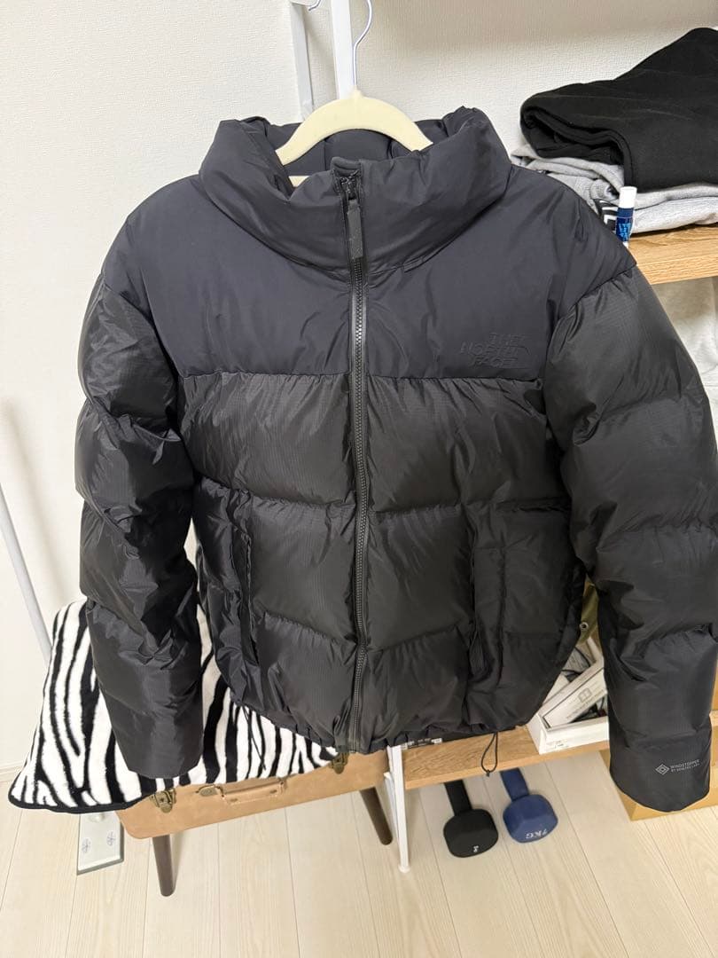 THE NORTH FACE GTXダウンジャケット即日発送