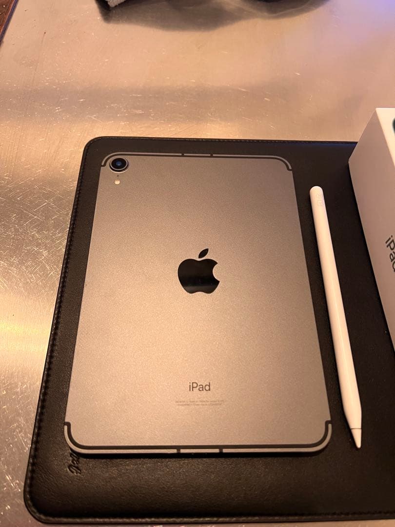 iPad mini スペースグレー 256GB+ Apple Pencil