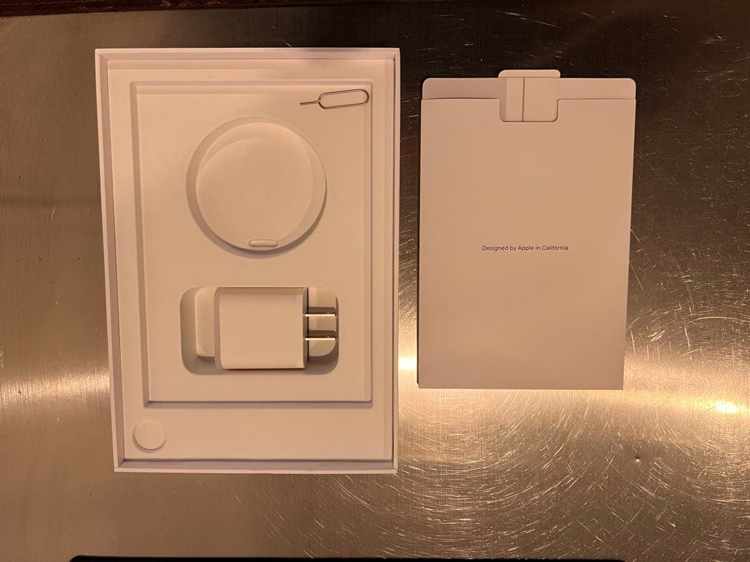 iPad mini スペースグレー 256GB+ Apple Pencil