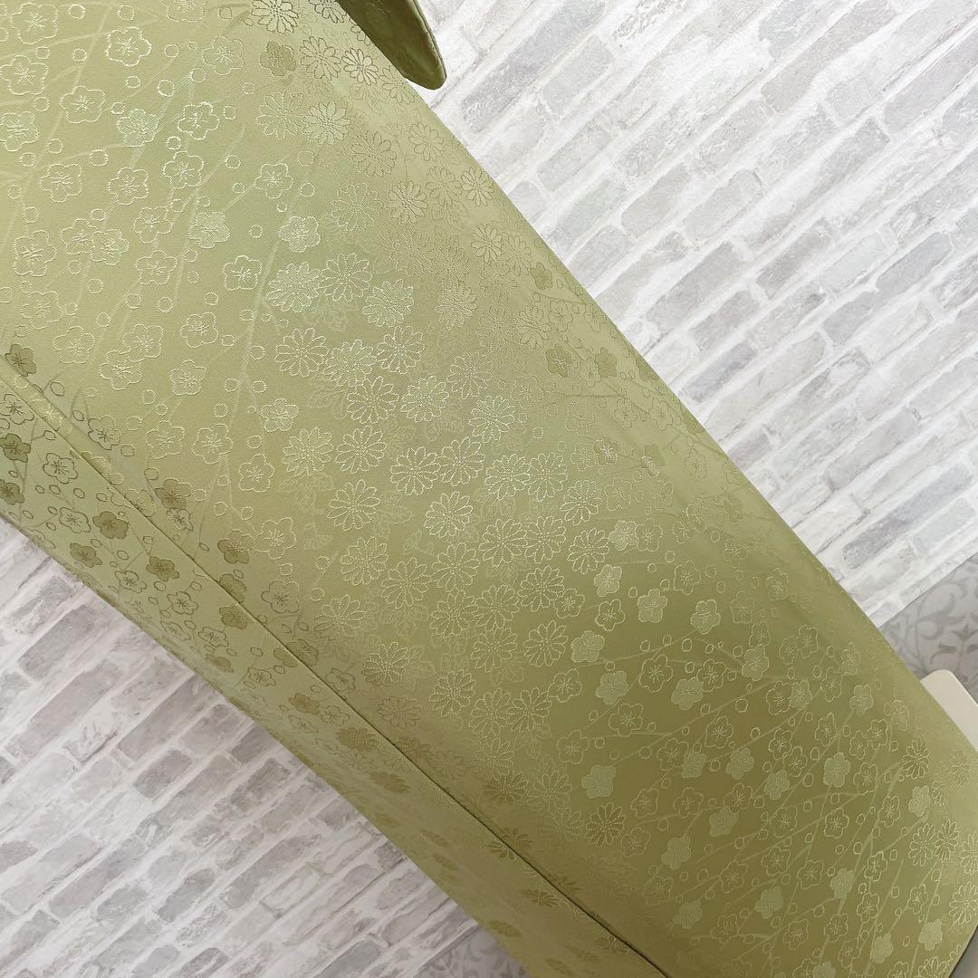 色無地　フルセット　菊　梅　地紋　難あり　練習用　シンプル　礼装　着物　I2