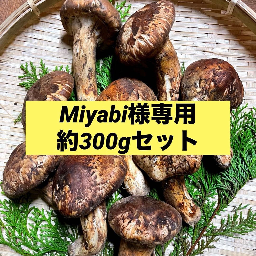 Miyabi　300gセット