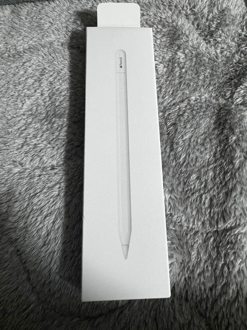 iPadアクセサリー Apple Pencil (USB-c)