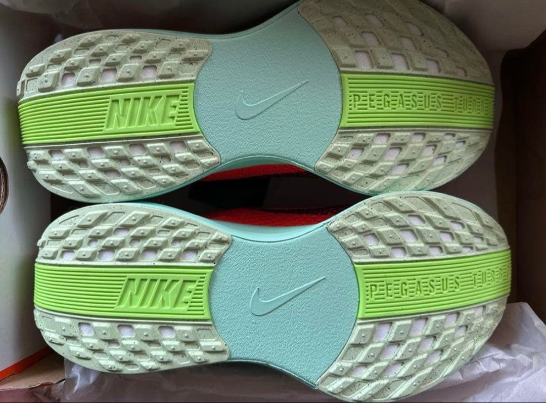 【新品未使用箱付き】NIKE PEGASUS PLUS/25.5cm
